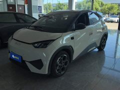 BYD Seagull Smart Driving Edition 305km Freedom Edition - ფოტო 1