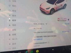 Tesla Model Y 2022 Rear-Wheel Drive - ფოტო 14