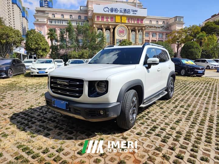 Great Wall Dachshund 2.0T DCT Four-Wheel Drive Howling Celestial Dog Hunting Edition