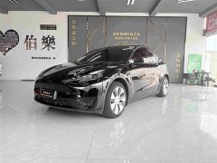 Tesla Model Y Rear-Wheel Drive - ფოტო 1