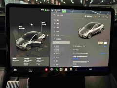 Tesla Model Y Rear-Wheel Drive - ფოტო 13