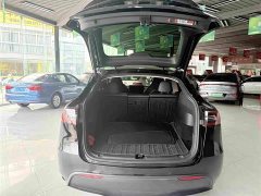 Tesla Model Y Rear-Wheel Drive - ფოტო 9