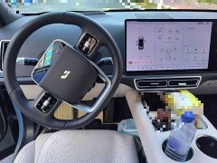 Li Auto L6 Pro Smart Refresh Edition - ფოტო 5