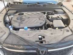 Changan X5 PLUS 1.5T DCT Pioneer Trim - ფოტო 10