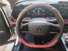 Changan X5 PLUS 1.5T DCT Pioneer Trim - ფოტო 15