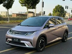 BYD Dolphin 405km Fashion Edition - ფოტო 1