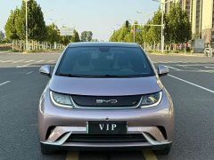 BYD Dolphin 405km Fashion Edition - ფოტო 2