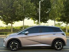 BYD Dolphin 405km Fashion Edition - ფოტო 3
