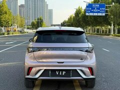 BYD Dolphin 405km Fashion Edition - ფოტო 8