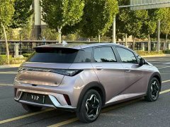 BYD Dolphin 405km Fashion Edition - ფოტო 9