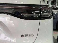SAIC Shangjie H5 Pure Electric Max - ფოტო 16