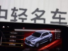 Mercedes-Benz Mercedes-AMG GLE 53 4MATIC - ფოტო 19