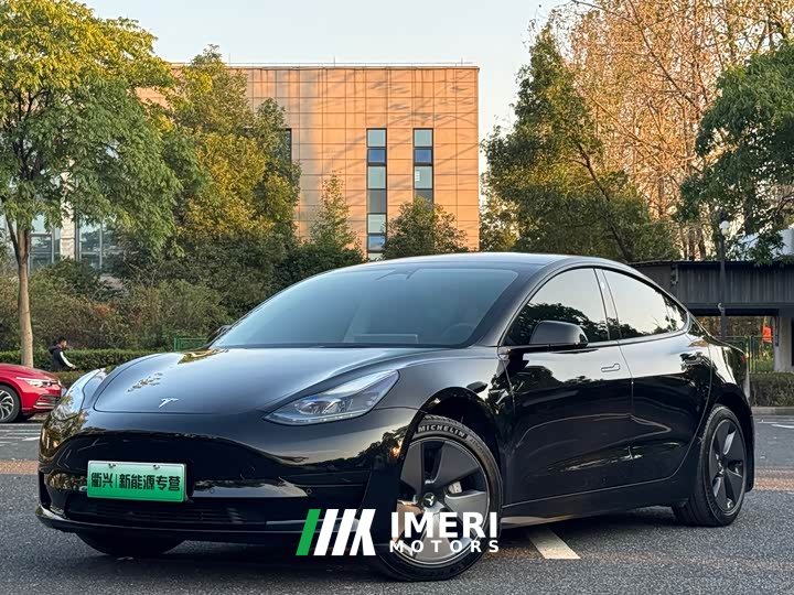 Tesla Model 3 2022 Rear-Wheel Drive - ავტომობილი ჩინეთიდან