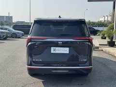 Buick GL8 Luzun Respect Edition - ფოტო 18