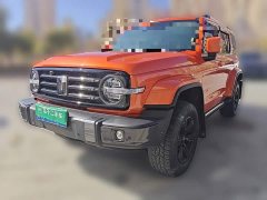 Tank 300 2021 City Edition 2.0T Stylish - ფოტო 1