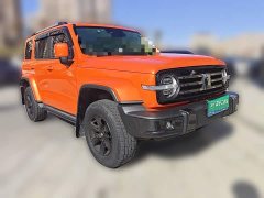 Tank 300 2021 City Edition 2.0T Stylish - ფოტო 3