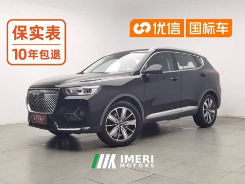 2021 Haval H6 1.5T Automatic Champion Edition - ავტომობილი ჩინეთიდან