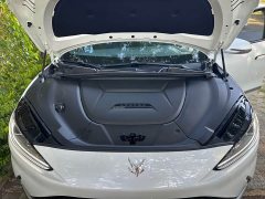 Arcfox Alpha-S 525E Forest Edition 160kW - ფოტო 8
