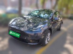 Tesla Model Y Rear-Wheel Drive - ფოტო 1