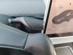 Tesla Model Y Rear-Wheel Drive - ფოტო 10
