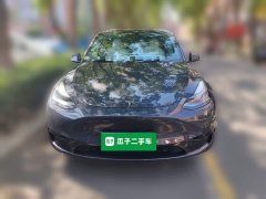 Tesla Model Y Rear-Wheel Drive - ფოტო 2