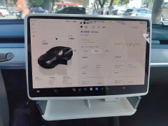 Tesla Model Y Rear-Wheel Drive - ფოტო 7