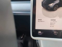 Tesla Model Y Rear-Wheel Drive - ფოტო 8