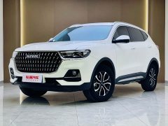 Haval H6 National Trend Edition 1.5T Automatic Urban Version - ფოტო 1