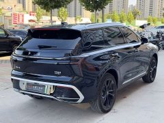 FAW Red Flag HS3 PHEV 2025 125km Range Jingwei PLUS 2 Million Units Anniversary Edition - ფოტო 19
