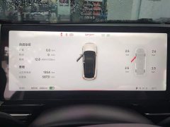 XPeng P5 2021 460G - ფოტო 14
