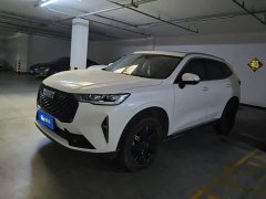 Haval H6 2021 Third Generation 2.0T Automatic Two-Wheel Drive Max - ფოტო 1
