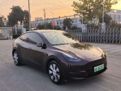 Tesla Model Y Standard Range RWD - ფოტო 3