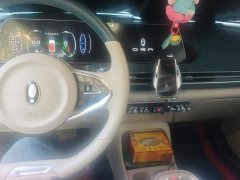 ORA Good Cat 400km Standard Range Athena Edition LFP Battery - ფოტო 11