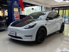 Tesla Model Y 2021 Performance All-Wheel Drive - ფოტო 1