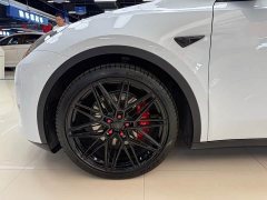 Tesla Model Y 2021 Performance All-Wheel Drive - ფოტო 13