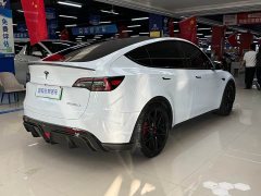 Tesla Model Y 2021 Performance All-Wheel Drive - ფოტო 14