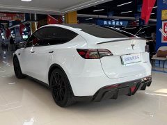 Tesla Model Y 2021 Performance All-Wheel Drive - ფოტო 16