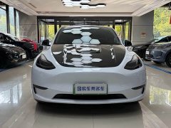 Tesla Model Y 2021 Performance All-Wheel Drive - ფოტო 2