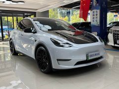 Tesla Model Y 2021 Performance All-Wheel Drive - ფოტო 3