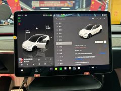 Tesla Model Y 2021 Performance All-Wheel Drive - ფოტო 8