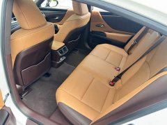Lexus ES 2020 300h Elite Edition National V Emission Standard - ფოტო 10