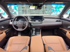 Lexus ES 2020 300h Elite Edition National V Emission Standard - ფოტო 11