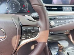 Lexus ES 2020 300h Elite Edition National V Emission Standard - ფოტო 14