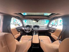 Lexus ES 2020 300h Elite Edition National V Emission Standard - ფოტო 17