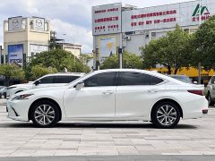 Lexus ES 2020 300h Elite Edition National V Emission Standard - ფოტო 6