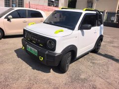 Geely Panda 2025 210km Panda Knight - ფოტო 1