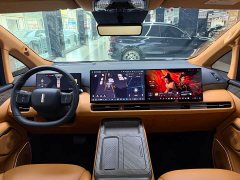 Great Wall WEY Shanshan New Energy Four-Wheel Drive Shanshan 8 - ფოტო 13