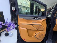 Great Wall WEY Shanshan New Energy Four-Wheel Drive Shanshan 8 - ფოტო 14