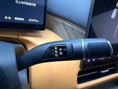 Great Wall WEY Shanshan New Energy Four-Wheel Drive Shanshan 8 - ფოტო 16