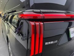 Great Wall WEY Shanshan New Energy Four-Wheel Drive Shanshan 8 - ფოტო 6
